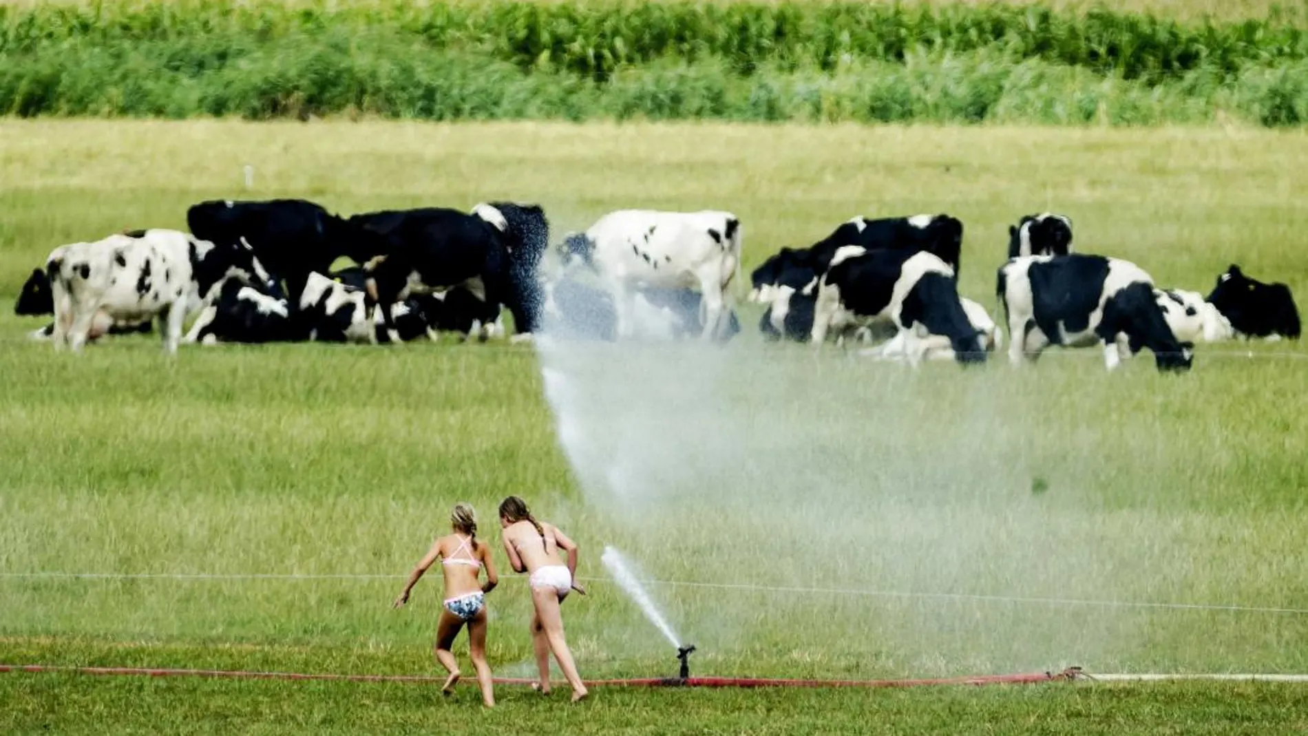 Dos niñas juegan con el agua de los aspersores mientras riegan un cultivo
