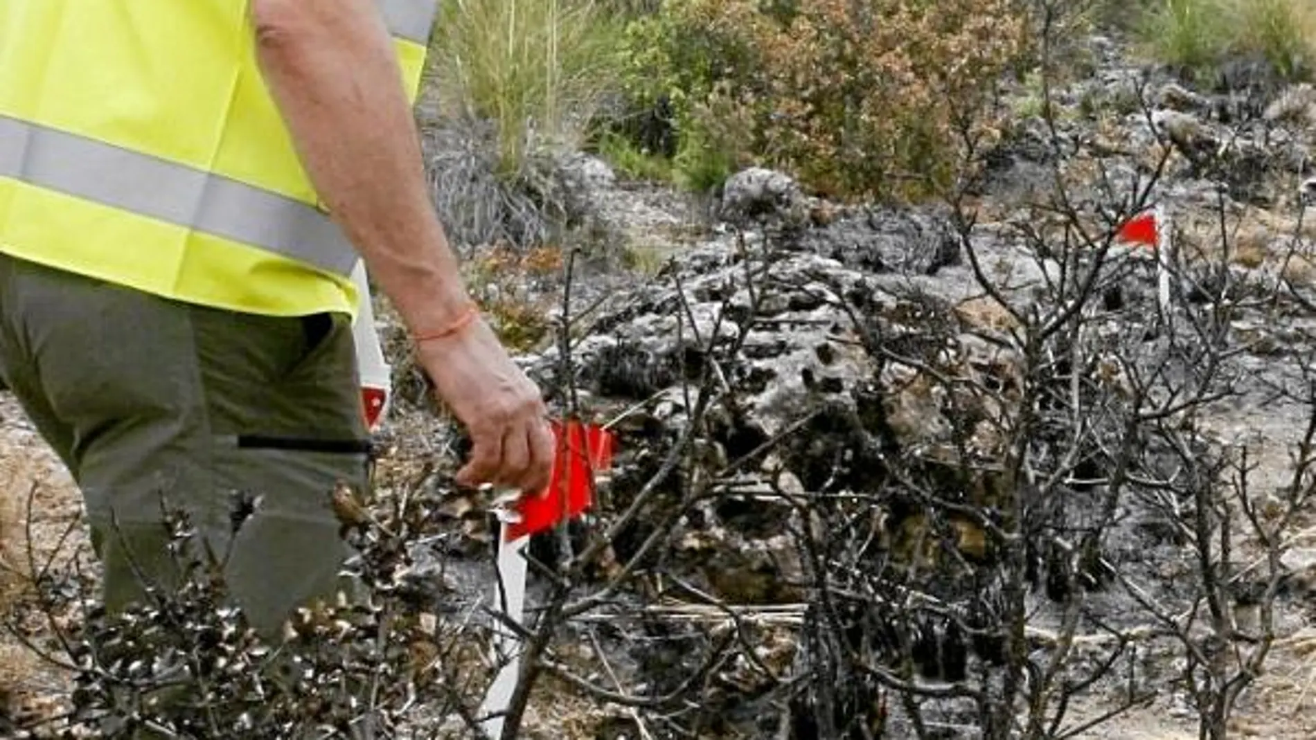 Agentes forestales extreman estos días la atención a los montes madrileños