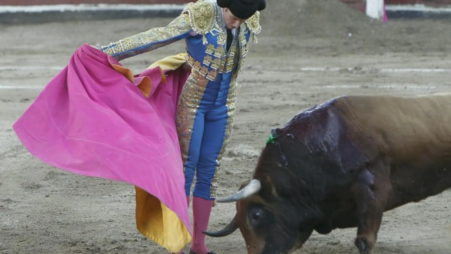 Gaonera de Román, en imagen de archivo