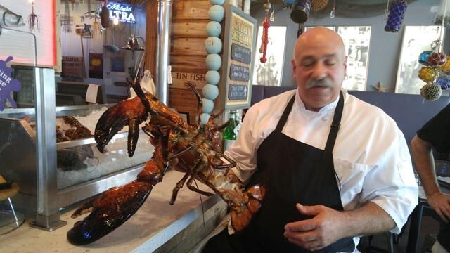 Joe Melluso, propietario del restaurante Tin Fish de Sunrise, con «Larry» poco antes de que el animal falleciera