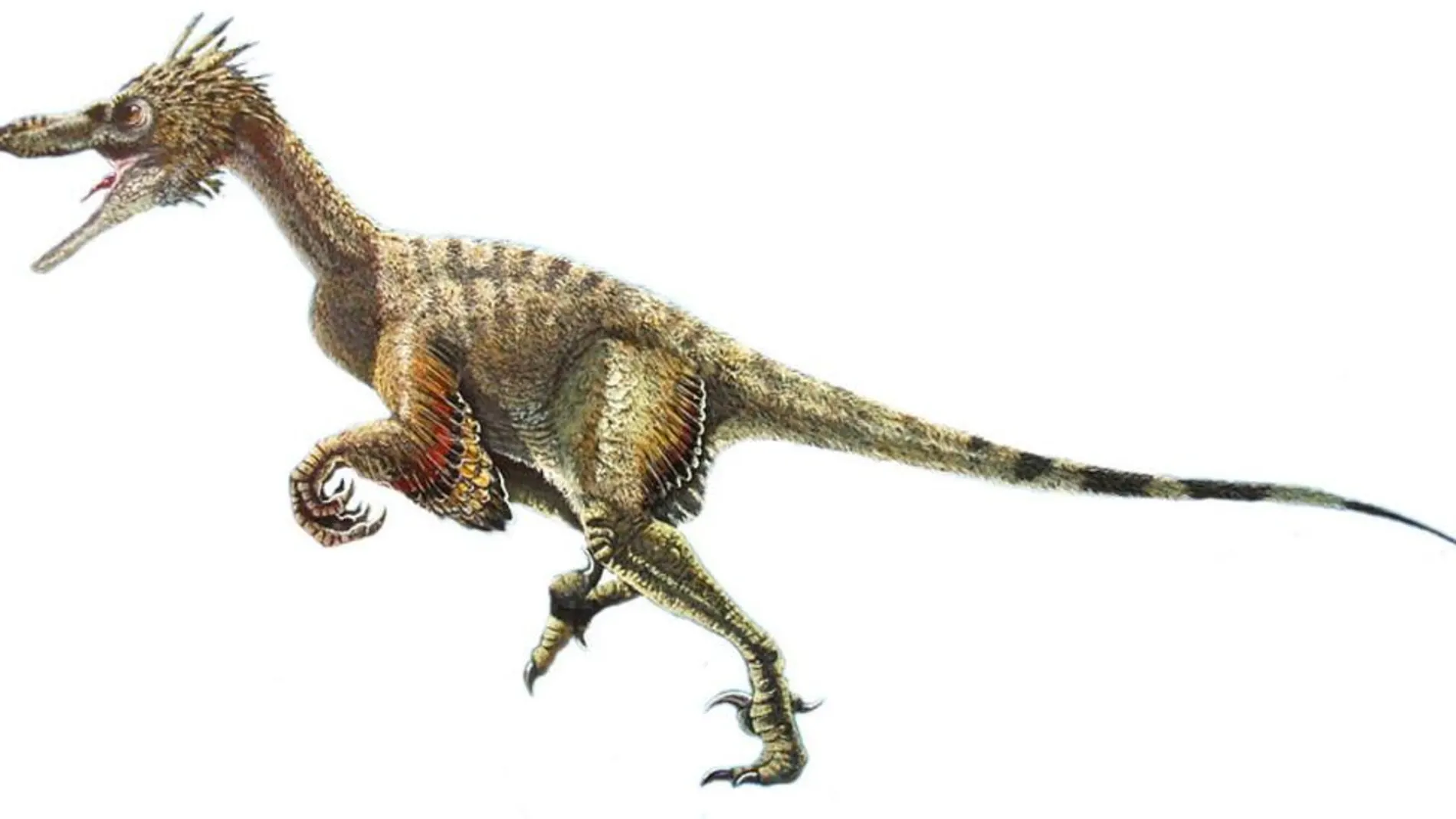 Ilustración del dinosaurio Terópode, del grupo Maniraptora,