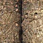 Una fosa común excavada por los arqueólogos da muestra de la crudeza y brutalidad de la contienda