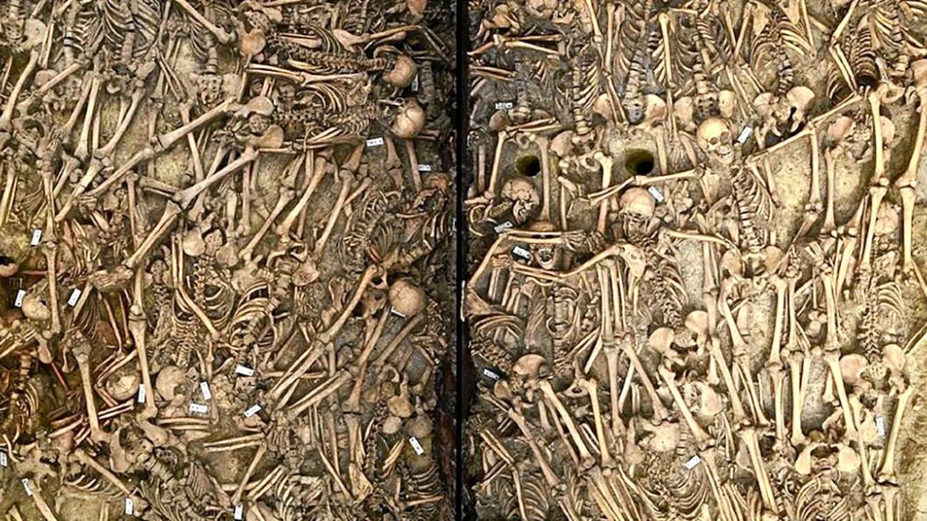 Una fosa común excavada por los arqueólogos da muestra de la crudeza y brutalidad de la contienda