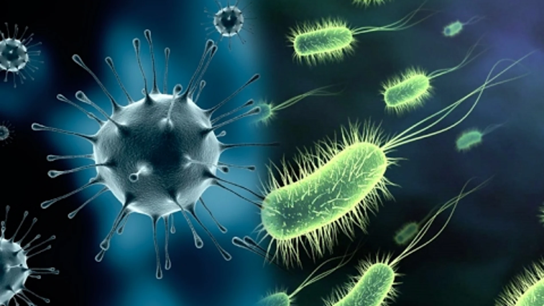 Las bacterias resistentes se cobran 35.000 vidas al año