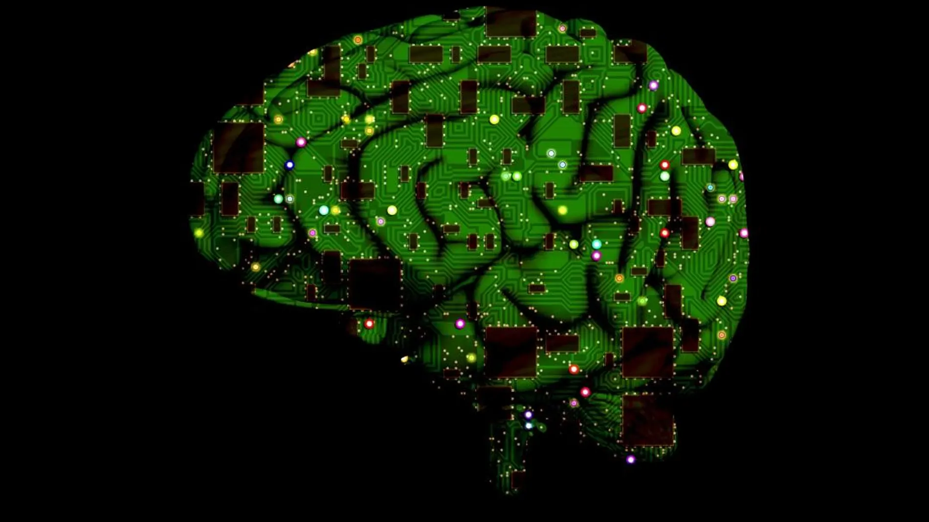 Los investigadores han conseguido crear artificialmente un circuito cerebral simple compuesto por un conjunto de neuronas cultivadas artificialmente