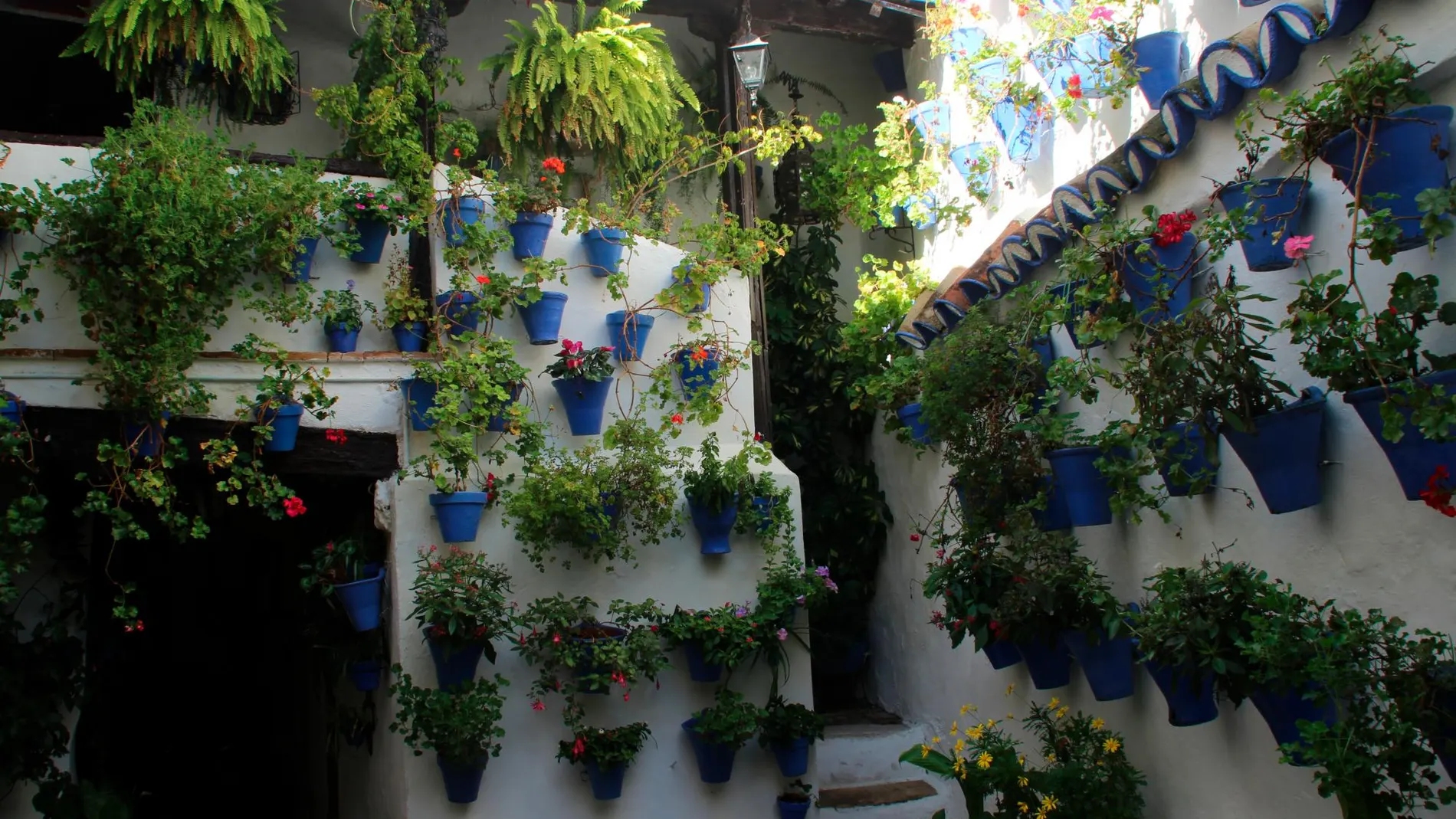 Los Patios de Córdoba fueron nombrados Patrimonio Inmaterial de la Humanidad por conservar un estilo de vida