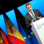 Felipe VI fue descrito al recibir el premio como el "primer Rey jurista"de España y como estadista "capaz de alzar la voz por los valores democráticos"