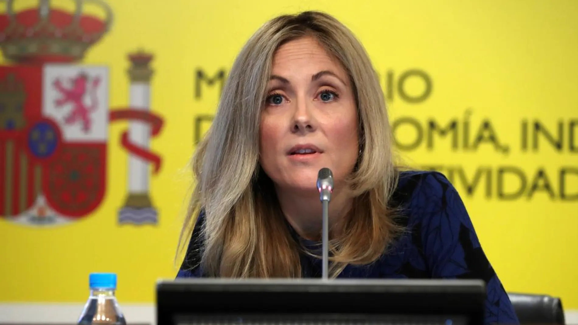 La secretaria general del Tesoro y Política Financiera, Emma Navarro. EFE/ J.J. Guillen