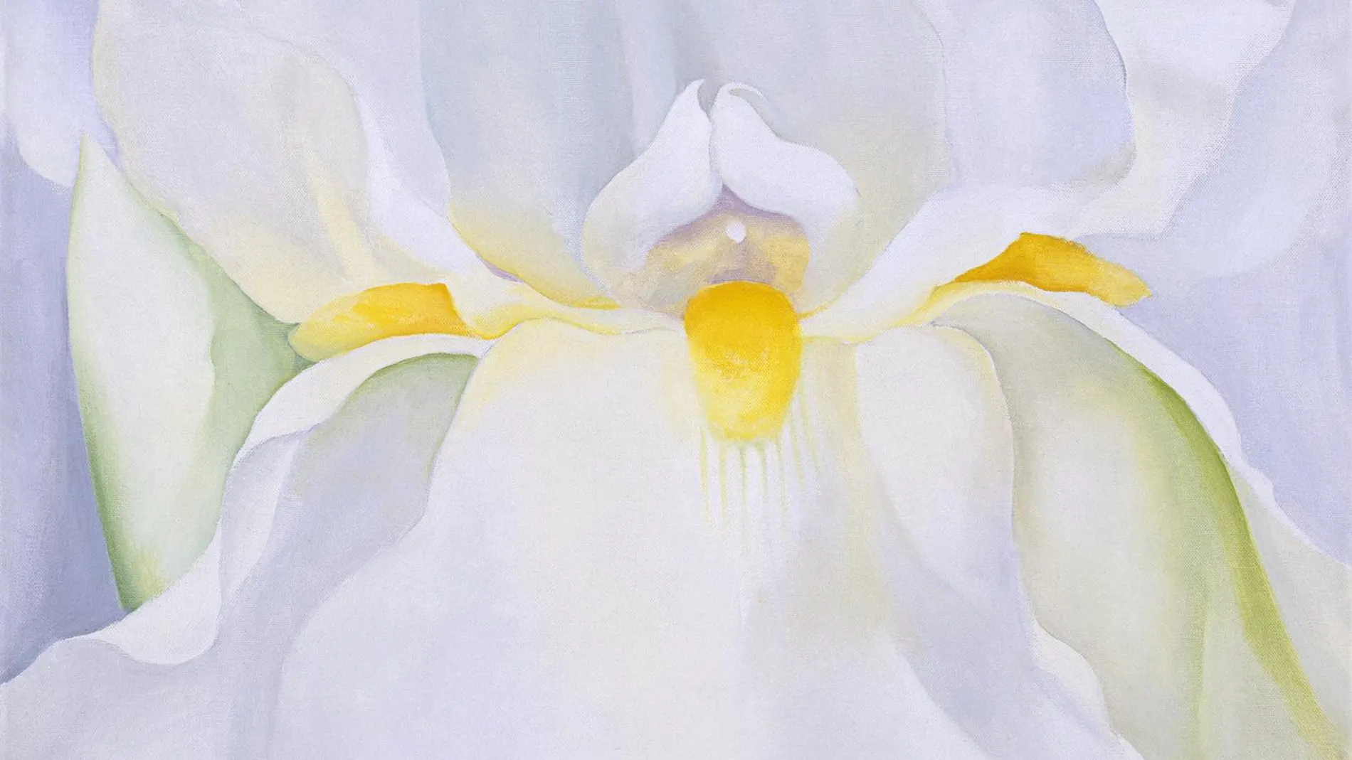 "Lirio blanco", de Georgia O'Keeffe
