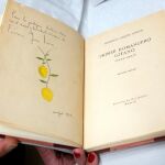 La segunda edición del Primer Romancero Gitano(1924-1927) que escribió Lorca (Foto: Efe)
