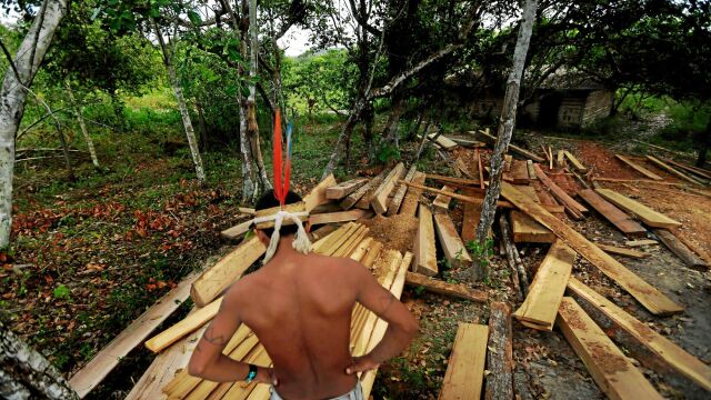 En la imagen, un nativo frante a madera talada ilegalmente por las mafias que operan en la zona. (Reportaje fotográfico: Lunae Parracho/Greenpeace)