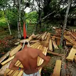 En la imagen, un nativo frante a madera talada ilegalmente por las mafias que operan en la zona. (Reportaje fotográfico: Lunae Parracho/Greenpeace)