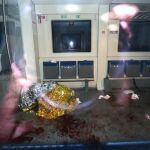 Fotografía donde se ve el interior de un vagón de un tren regional donde un hombre con un hacha supuestamente ataco a pasajeros