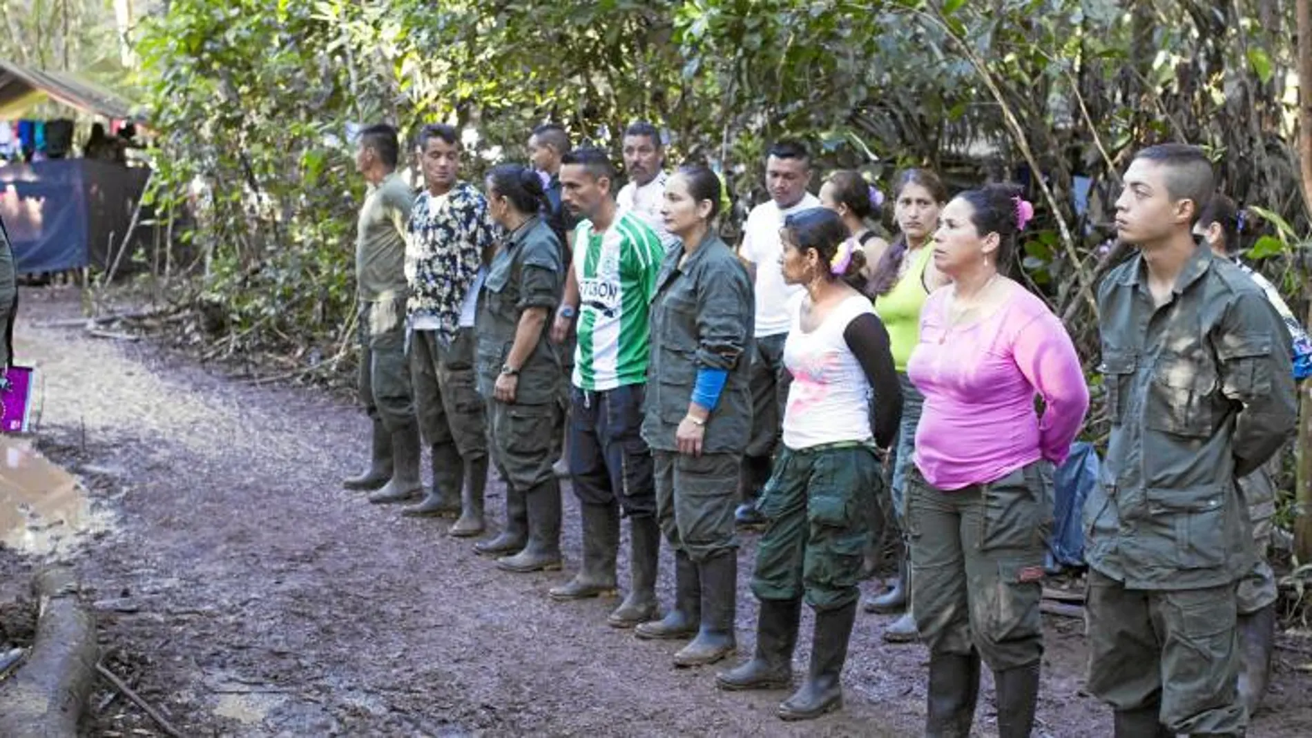 Guerrilleros de las FARC esperan en fila las instrucciones del día en un campamento situado en los Llanos del Yarí, en la zona sur del país