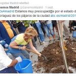 Mientras el partido socio de Podemos expresaba su «preocupación», el PP agradecía a Carmena los cuidados al recién plantado arbusto