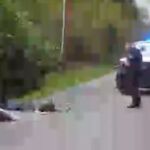 Persigue en su moto a los ladrones de su furgoneta y lo retransmite en directo