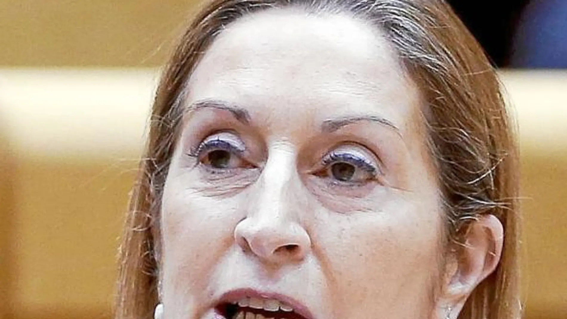 La ministra de Fomento, Ana Pastor