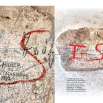 Coliseo: Aquí sí murieron cristianos