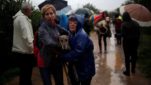 Los vecinos de Cártama han ayudado a evacuar a los animales de un refugio