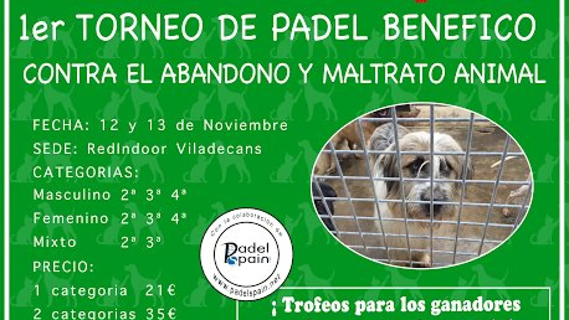 Cartel del torneo benéfico