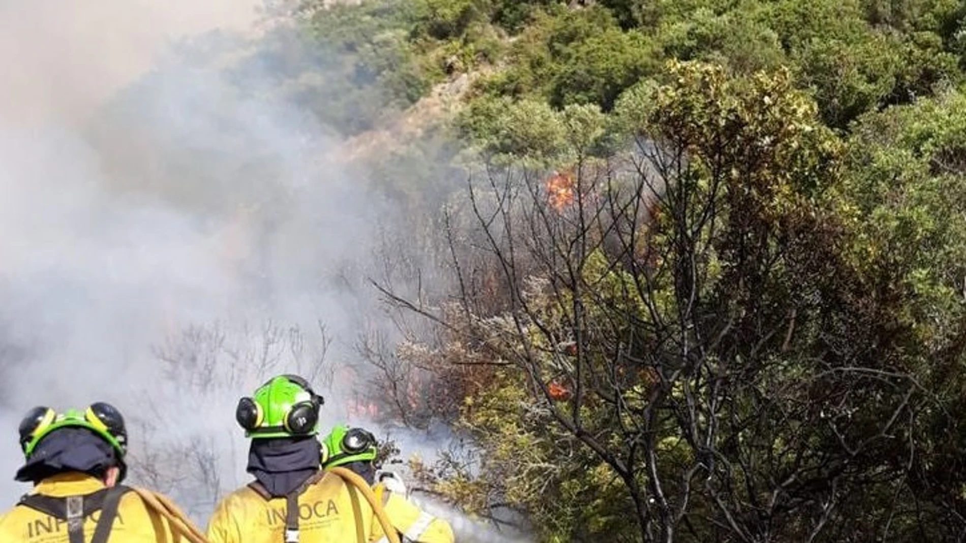 Alrededor de 50 bomberos forestales trabajan para controlar el incendio forestal de Casares