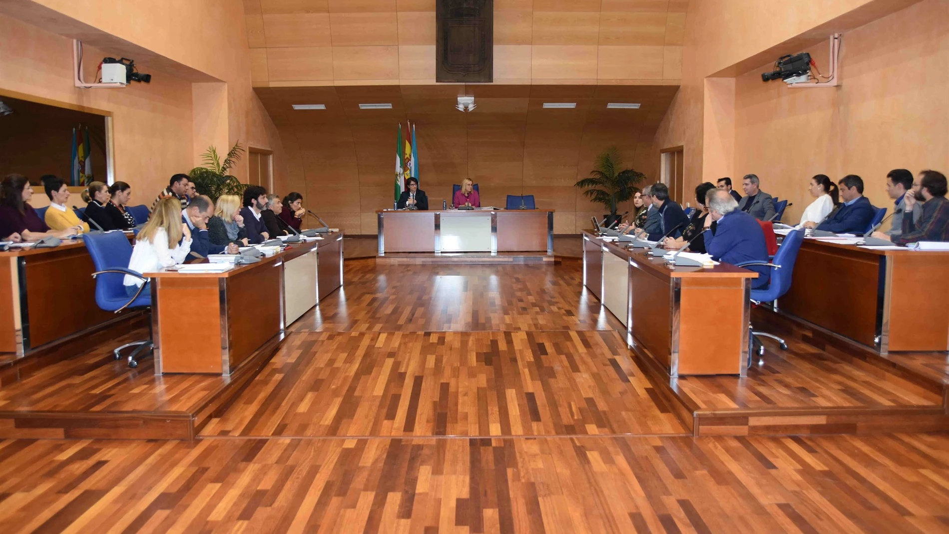 Pleno del Ayuntamiento de Fuengirola / Foto: Ep