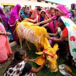 Varias mujeres realizan un ritual mientras preparan la ceremonia de casamiento entre una vaca y un toro en Kalara, en la ciudad de Bhopal (India) / Efe