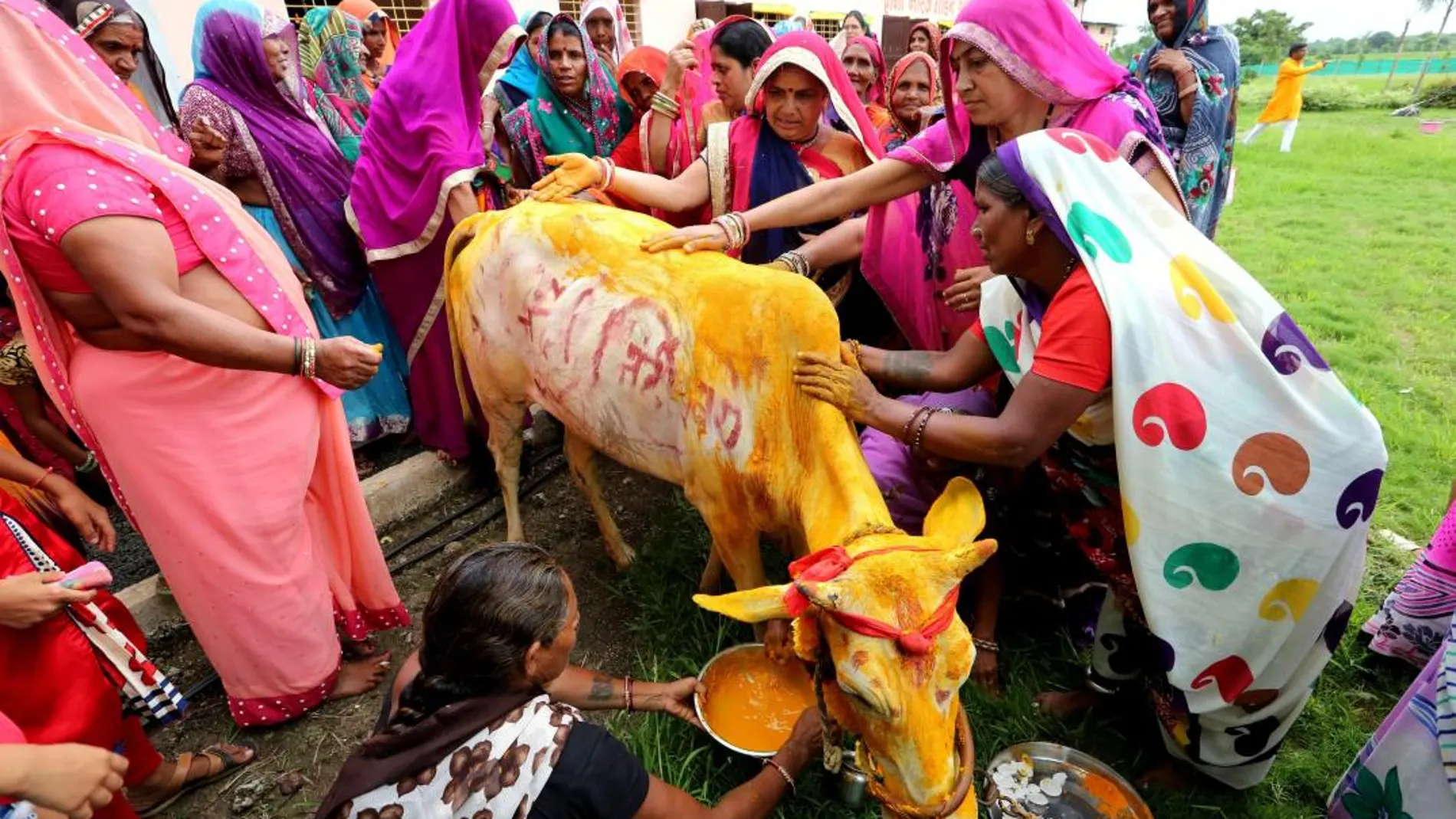 Varias mujeres realizan un ritual mientras preparan la ceremonia de casamiento entre una vaca y un toro en Kalara, en la ciudad de Bhopal (India) / Efe