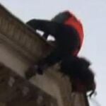 Uno de los activistas Greenpeace encaramado en la fachada del Congreso