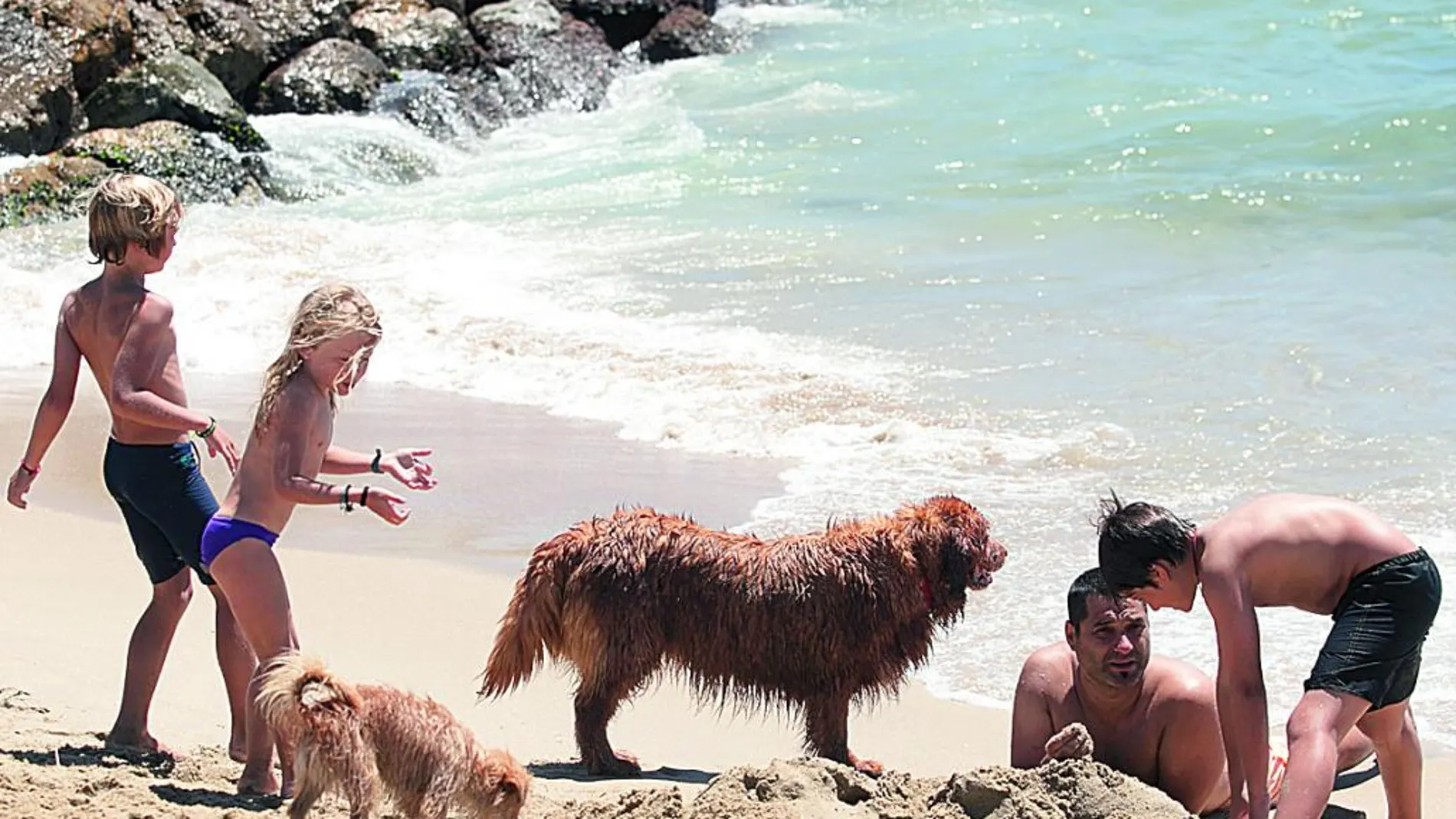 El Ayuntamiento mantendrá abierta la playa canina hasta el 25 de septiembre