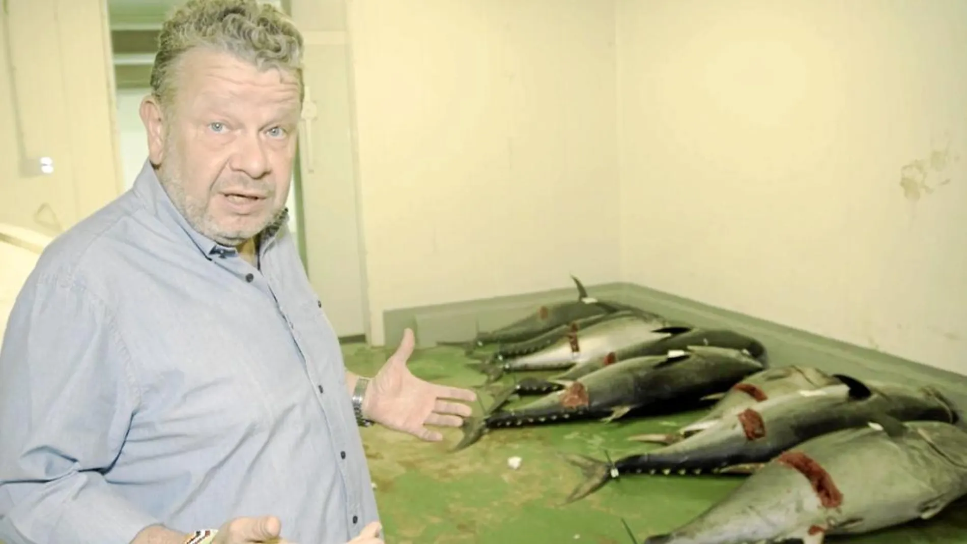 Alberto Chicote, en la entrega dedicada al comercio ilegal de atún rojo en España
