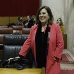 La consejera andaluza de Igualdad y Políticas Sociales, María José Sánchez Rubio, en el Parlamento autonómico