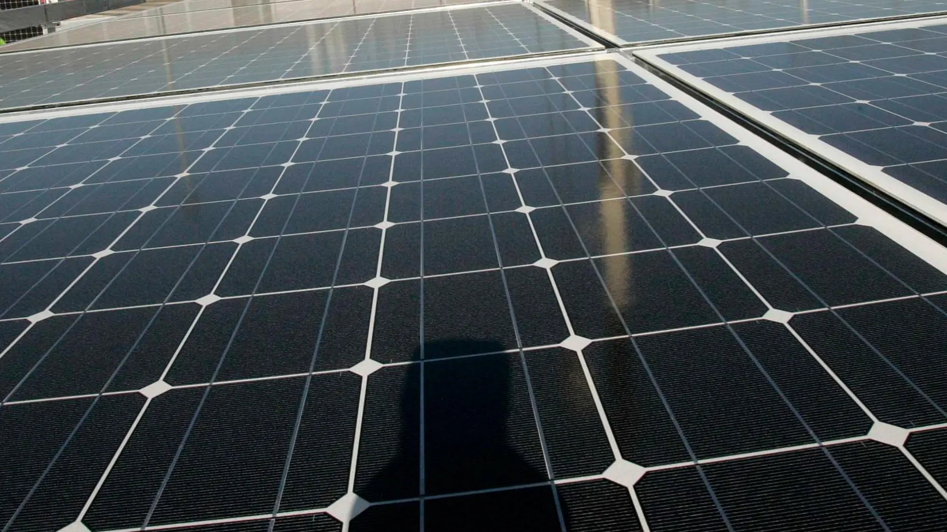 Endesa, a través de su división de renovables Enel Green Power España (EGPE), promoverá en el municipio sevillano de Carmona su mayor planta fotovoltaica hasta la fecha en Andalucía / Foto: Manuel Olmedo