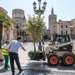 En la ciudad de Valencia se han empezado a instalar nuevos maceteros en calles peatonales