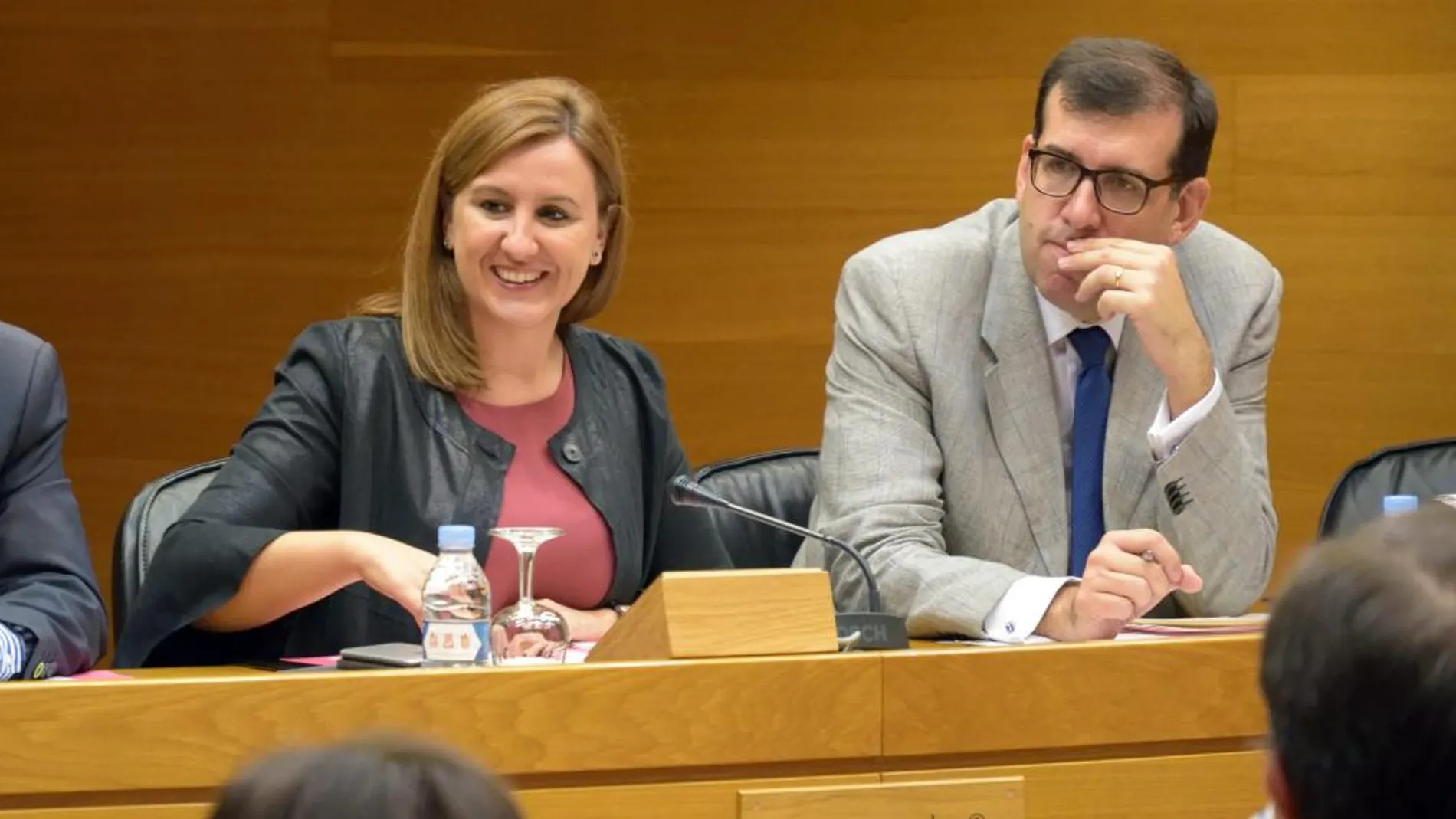 María José Català, recientemente durante su participación en la Comisión de Sanidad de Les Corts
