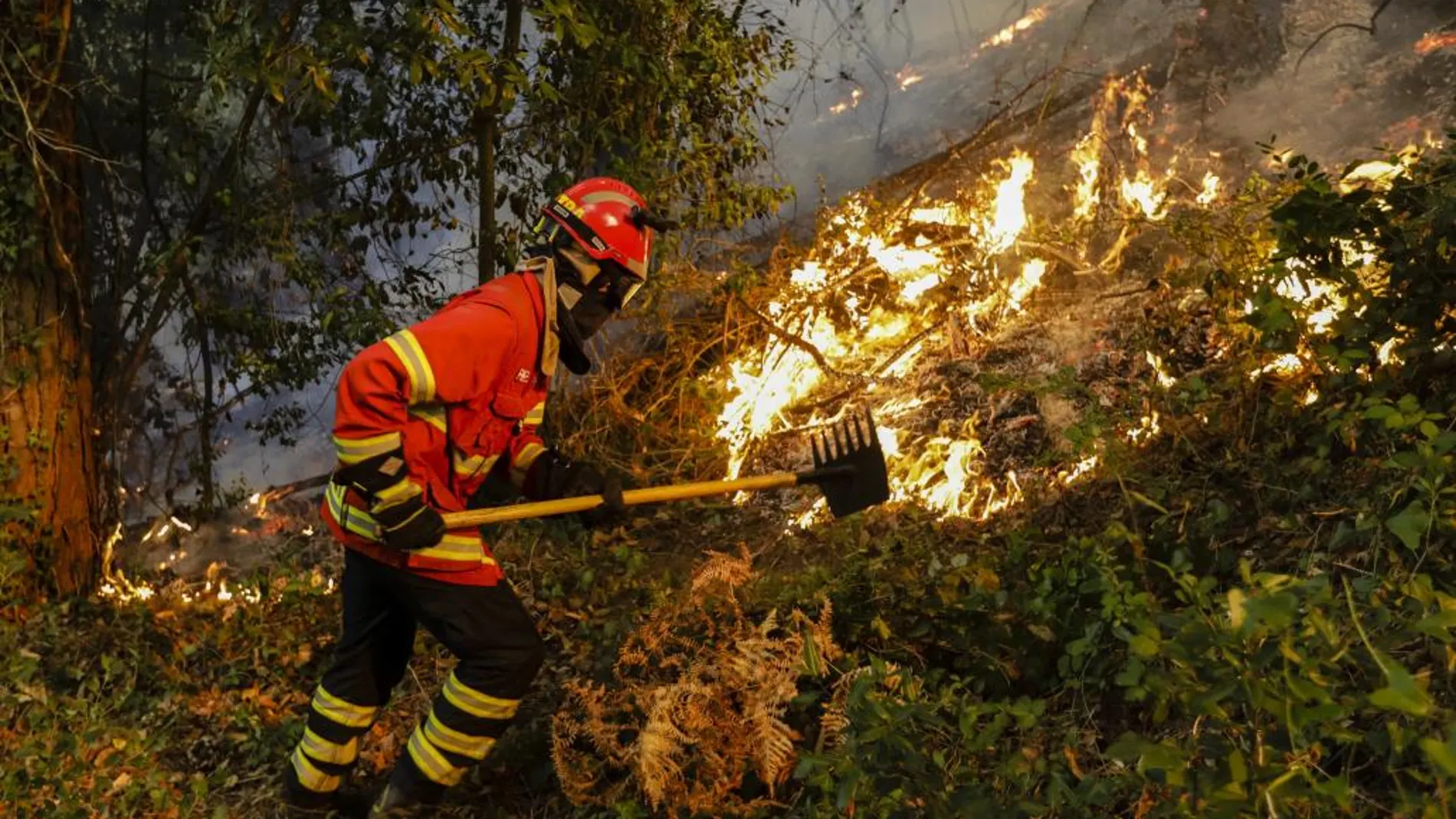 Un bombero trata de extinguir un fuego en -Cioga do Campo, Cantanhede, Coimbra, Portugal