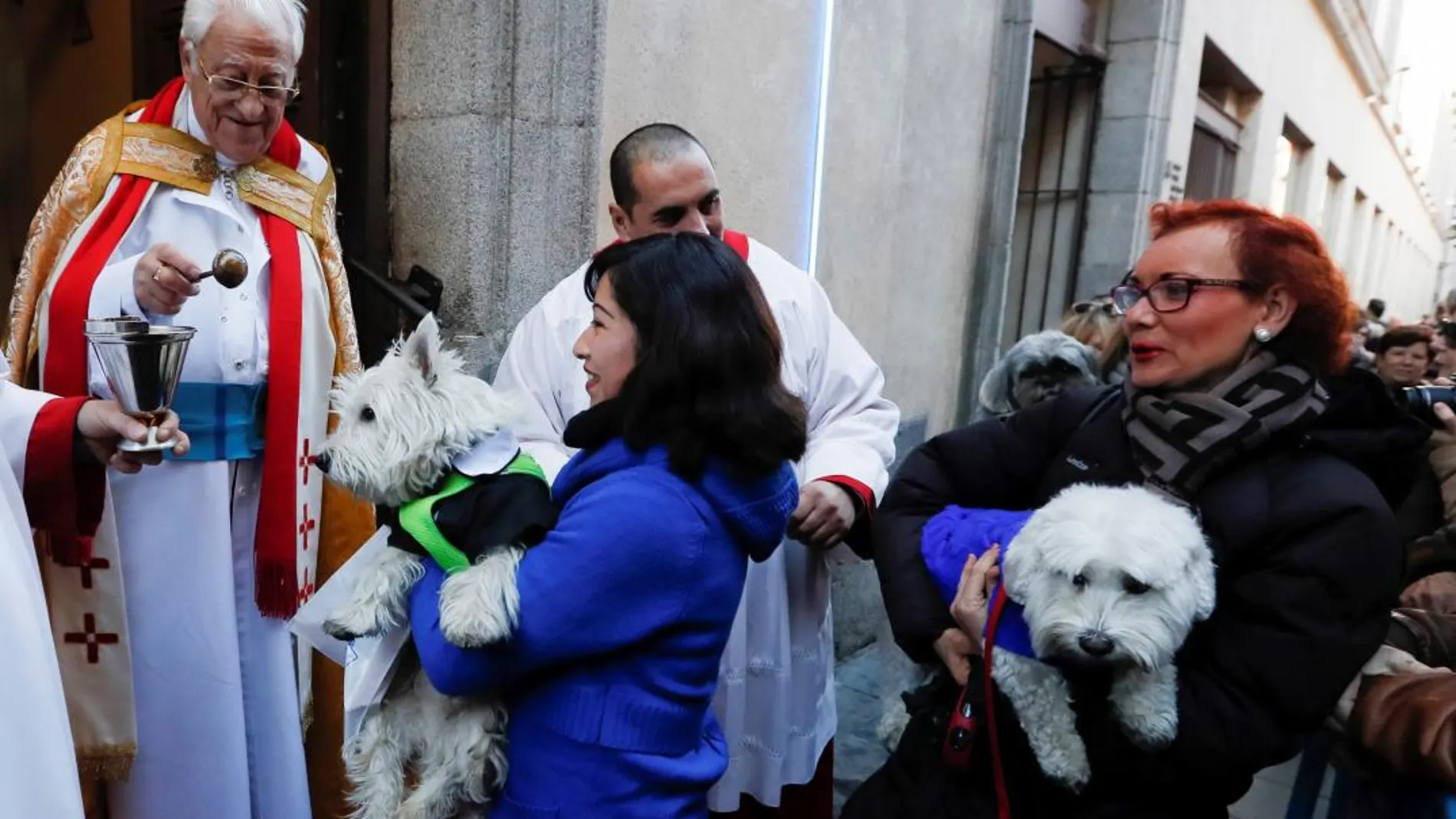 El Padre Ángel, párroco de la iglesia madrileña de San Antón, bendice a las mascotas que hoy han acudido con sus dueños