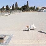 El Ayuntamiento de Málaga propone disminuir la zona de perros, quitando la parte que ocupa la fosa