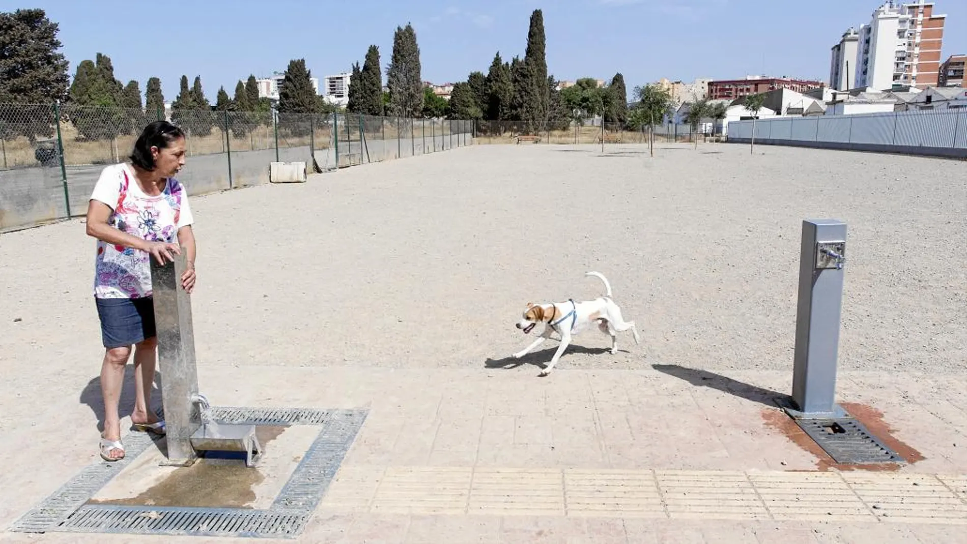 El Ayuntamiento de Málaga propone disminuir la zona de perros, quitando la parte que ocupa la fosa