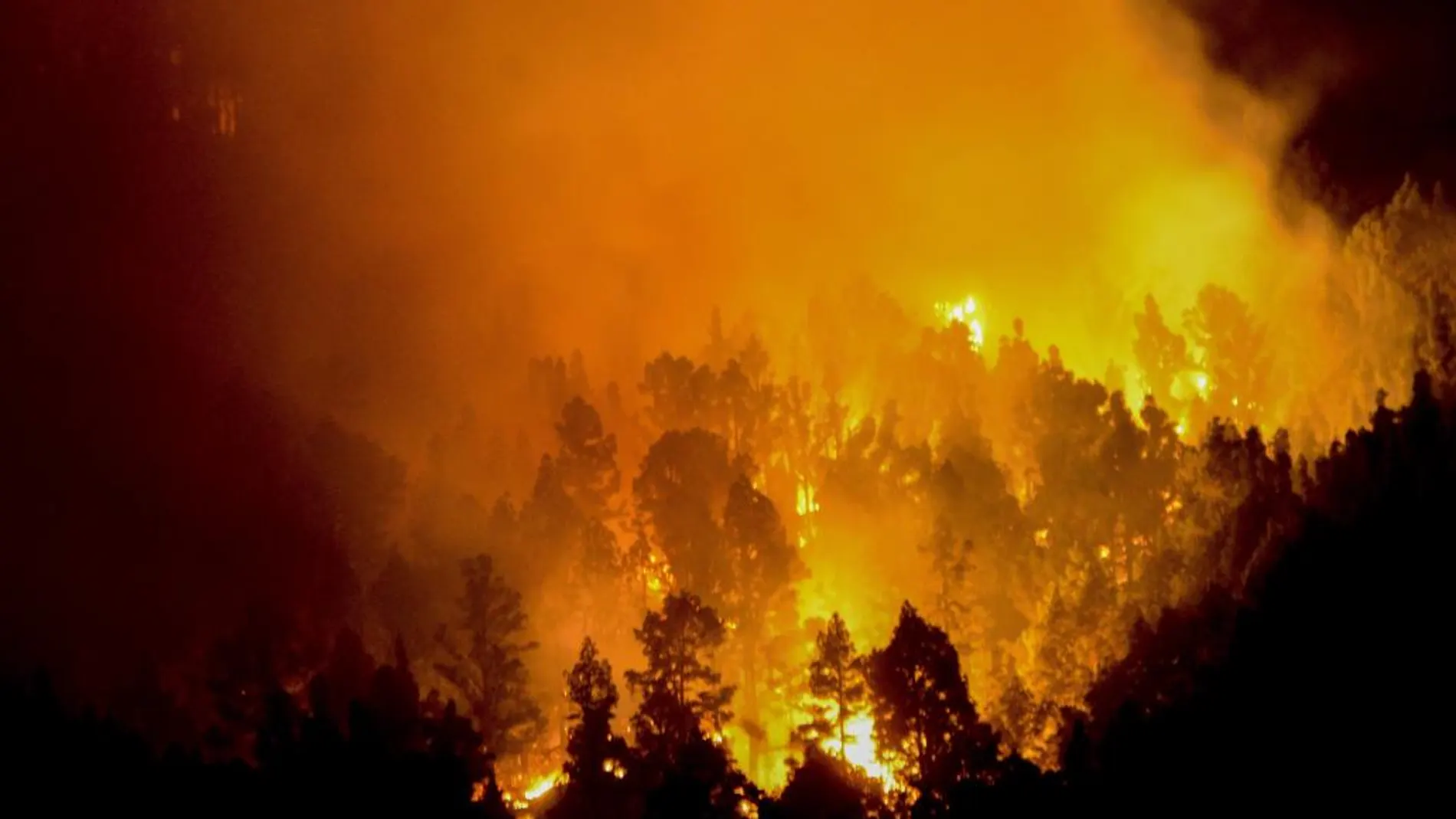 El incendio forestal que desde el miércoles afecta a La Palma sigue afectando al municipio de Villa de Mazo