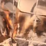 Arran quema imágenes de Rivera, Sánchez y Rajoy en la sede del PP en Barcelona