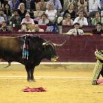 El diestro Juan José Padilla durante la faena a su segundo toro, en la corrida de la Feria del Pilar de Zaragoza celebrada hoy en el coso de La Misericordia.