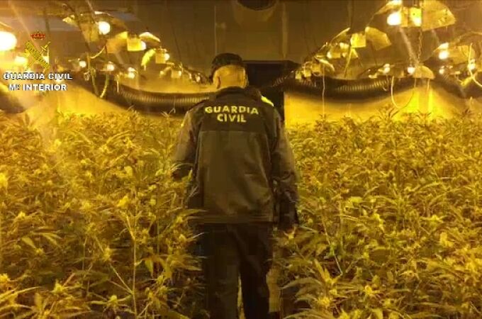 Un agente en la plantación de marihuana localizada