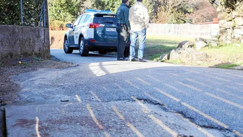 La mujer sufrió el ataque de los canes cuando llegaba a su casa