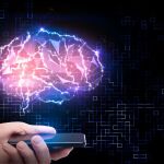 El cerebro acumula una gran cantidad de información muy valiosa