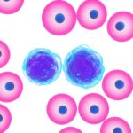 La investigación abre la puerta a desarrollar nuevos tratamientos contra la leucemia / Foto: Gtres