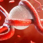 En España no habrá ébola