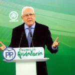 El diputado del PP andaluz Jaime Raynaud