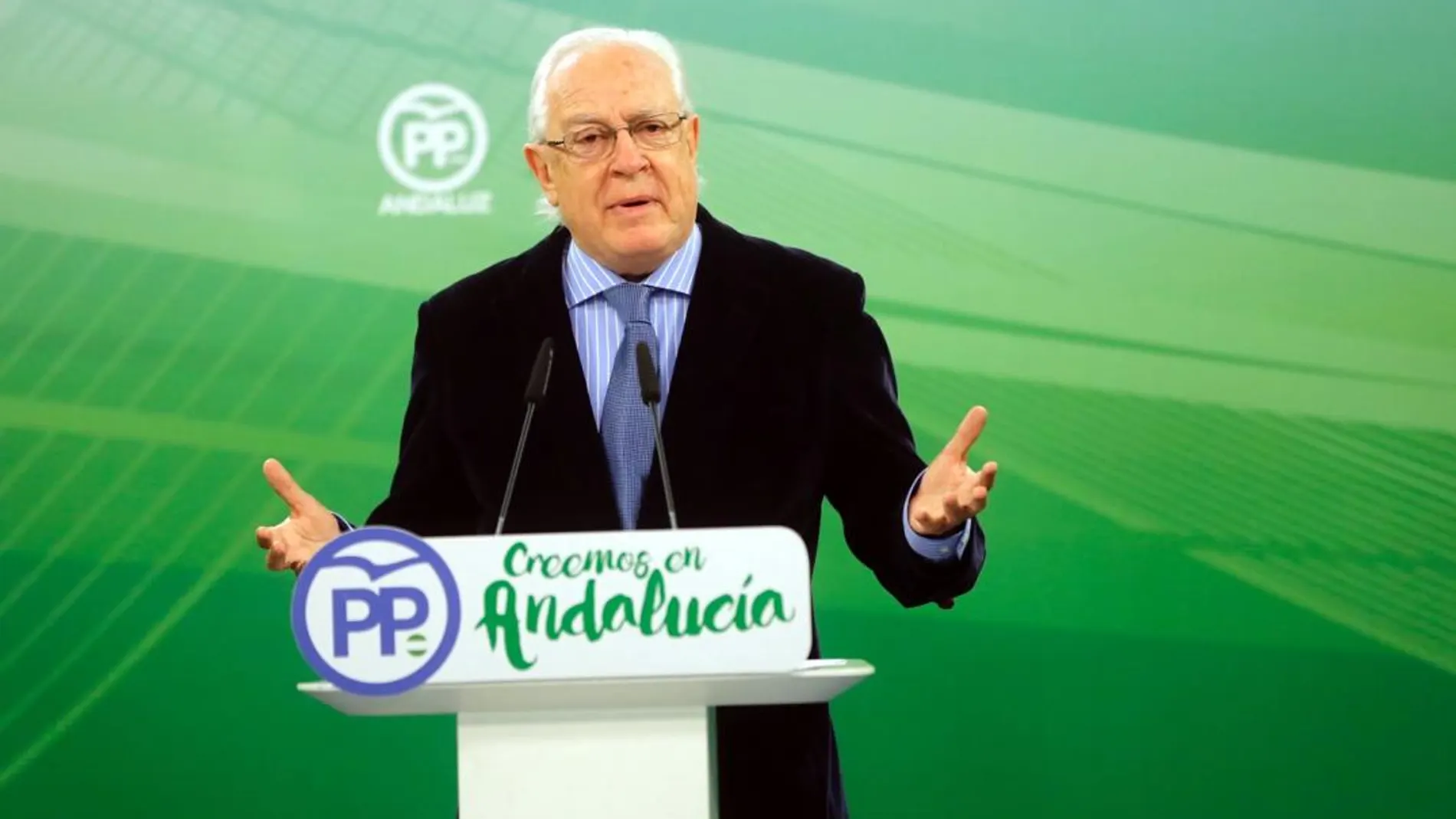 El diputado del PP andaluz Jaime Raynaud