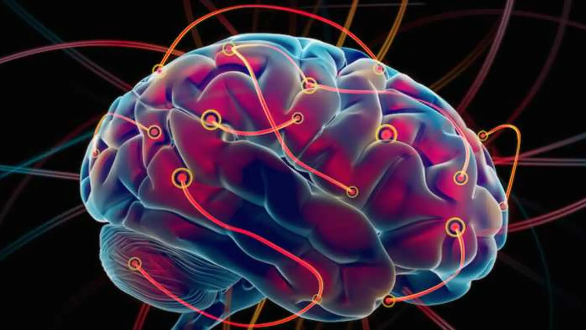 Pequeñas transgresiones en busca de un beneficio van generando un cambio de plasticidad neuronal